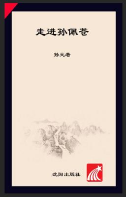 走进孙佩苍  相见在历史 封面