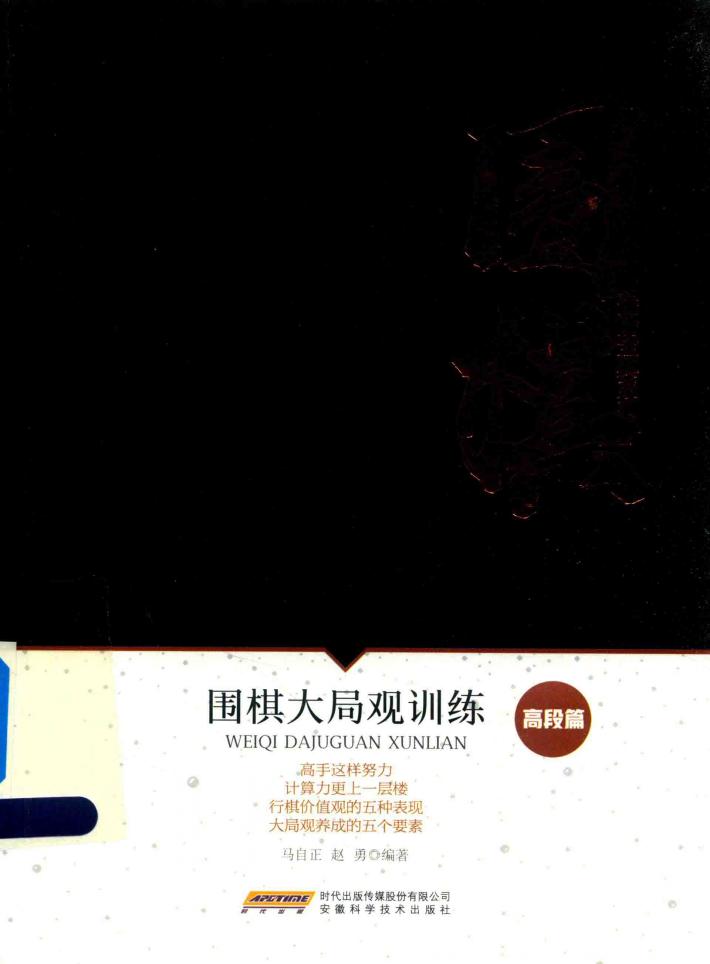 围棋大局观训练 封面