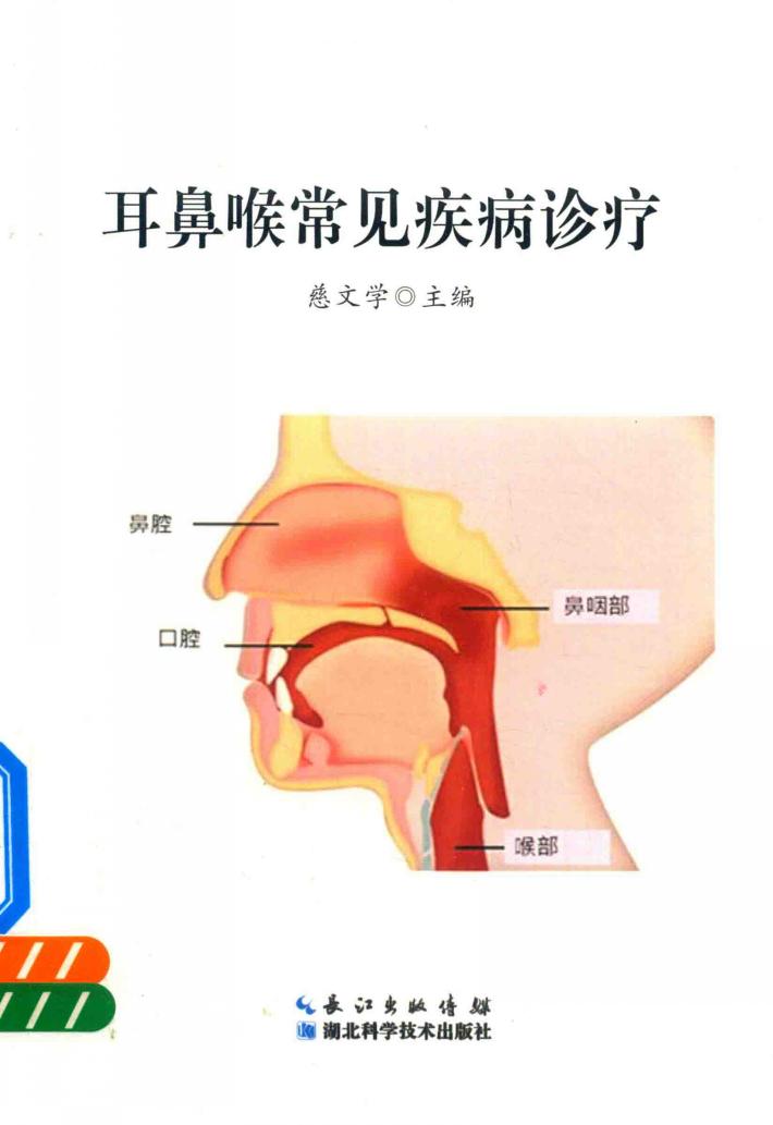 耳鼻喉常见疾病诊疗 封面