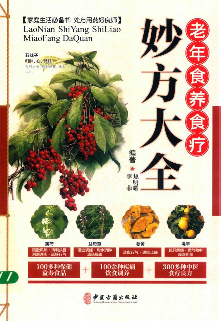 老年食疗妙方大全 封面