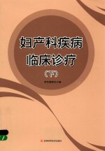 妇产科疾病临床诊疗  下 封面
