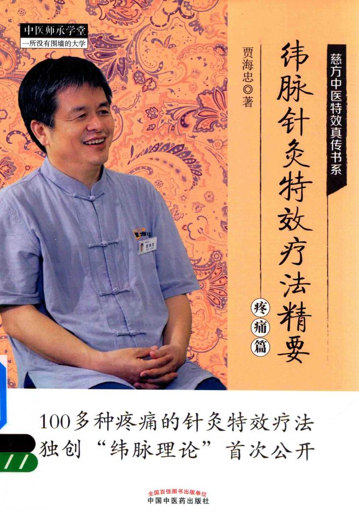 纬脉针灸特效疗法精要  疼痛篇 封面