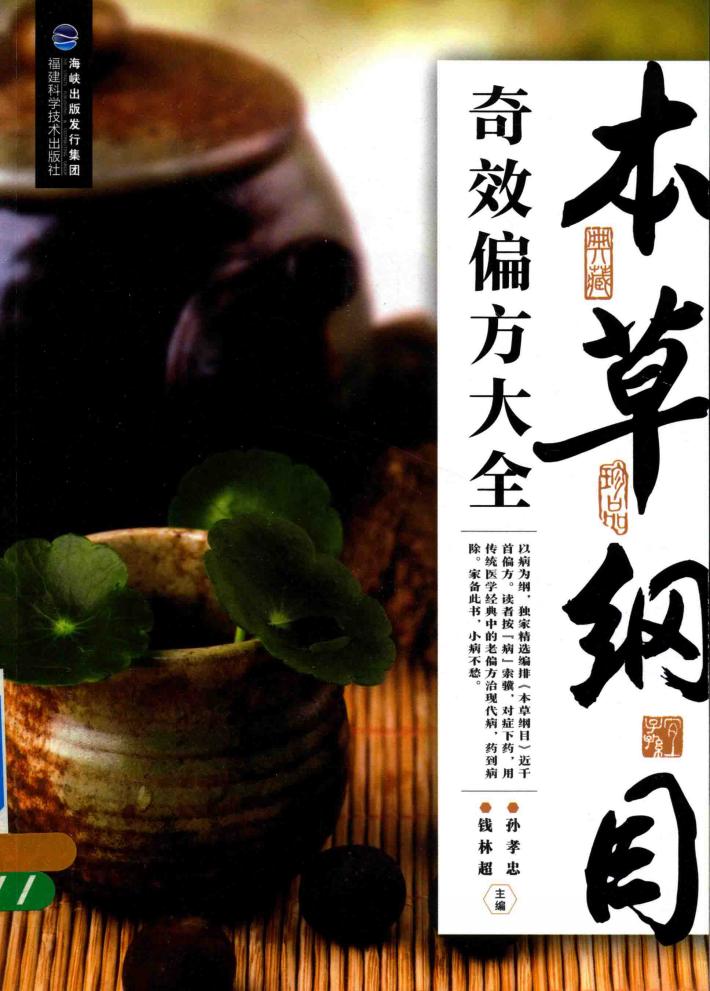 本草纲目奇效偏方大全 封面