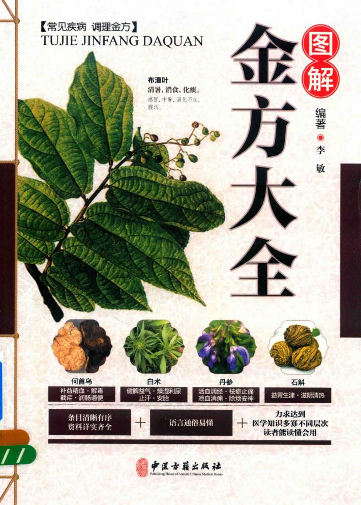 图解金方大全 封面