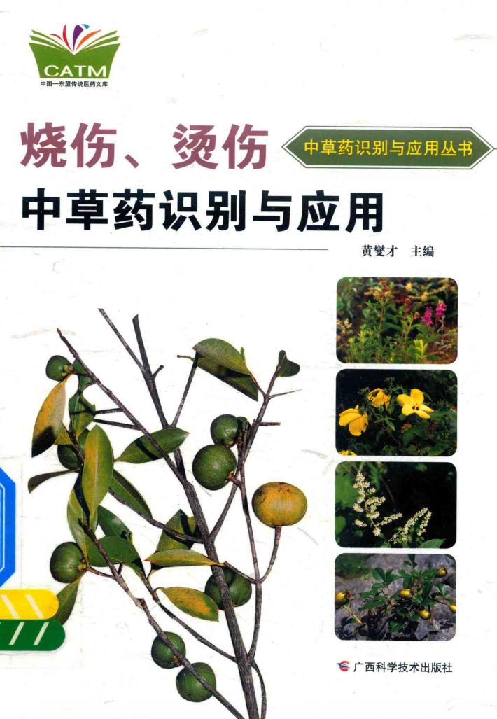 烧伤、烫伤中草药识别与应用 封面