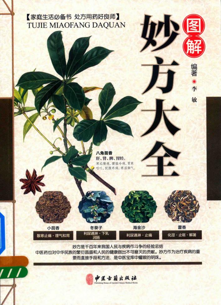 图解妙方大全 封面