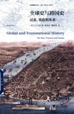 全球史与跨国史  过去  现在和未来 封面