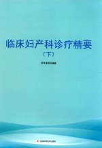 临床妇产科诊疗精要  下 封面