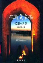 你就是幸福  惊艳伊朗 封面