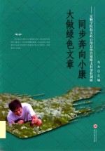 同步奔向小康  大做绿色文章 封面