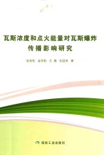瓦斯浓度和点火能量对瓦斯爆炸传播影响研究 封面