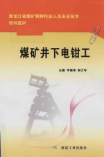 煤矿井下电钳工 封面