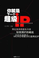 你就是下一个超级IP  成为内容网红的实操秘笈 封面