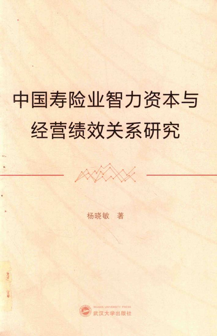中国寿险业智力资本与经营绩效关系研究 封面