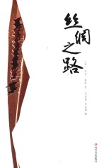 丝绸之路 封面