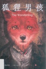 狐狸男孩 封面