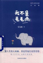 我不是毛毛雨 电子书封面