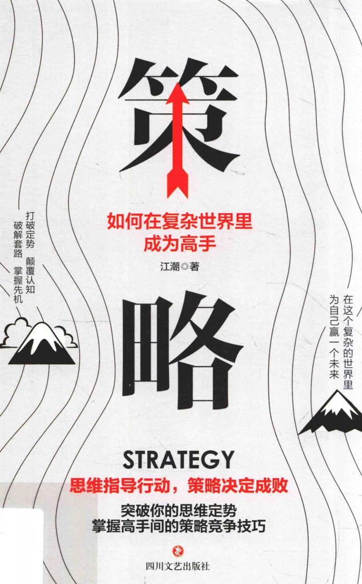 策略  如何在复杂世界里成为高手 封面