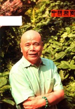 中国书画  艺苑弥珍版  2012.06 封面