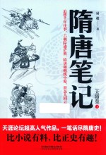 隋唐笔记  大隋卷  下 封面