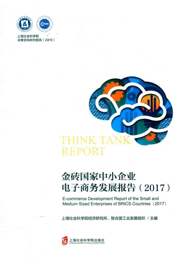 金砖国家中小企业电子商务发展报告  2017 封面