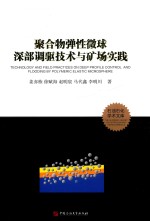聚合物弹性微球深部调驱技术与矿场实践 封面