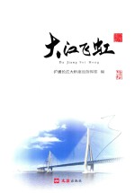 大江飞虹 封面