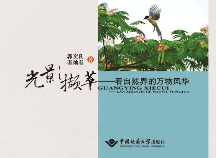 光影撷萃  看自然界的万物风华 封面