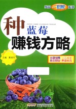 种蓝莓赚钱方略 封面