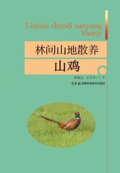 林间山地散养山鸡 封面