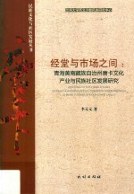 经堂与市场之间  青海黄南藏族自治州唐卡文化产业与民族社区发展研究 封面