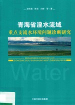 青海省湟水流域  重点支流水环境问题诊断研究 封面