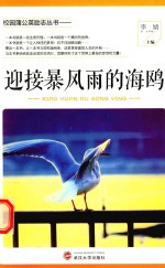 迎接暴风雨的海鸥 封面