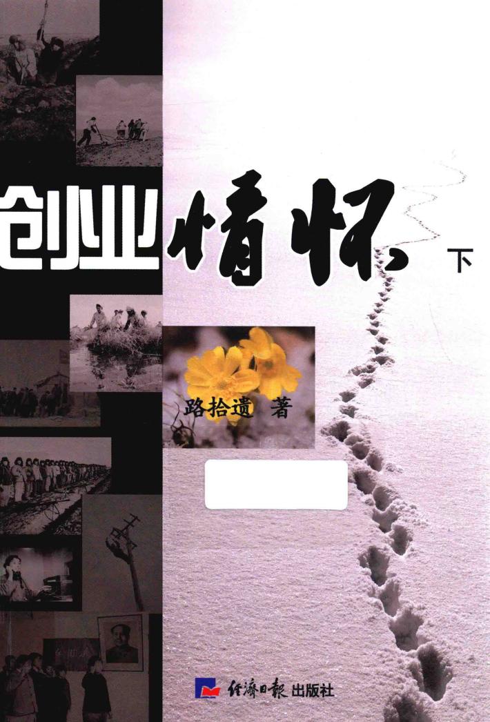 创业情怀  下 封面