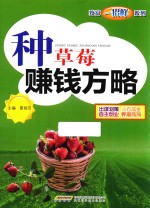 种草莓赚钱方略 封面