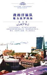 我的洋插队  魅力波罗的海 封面