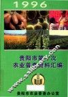 贵阳市第一次全国农业普查资料汇编  1996年 封面