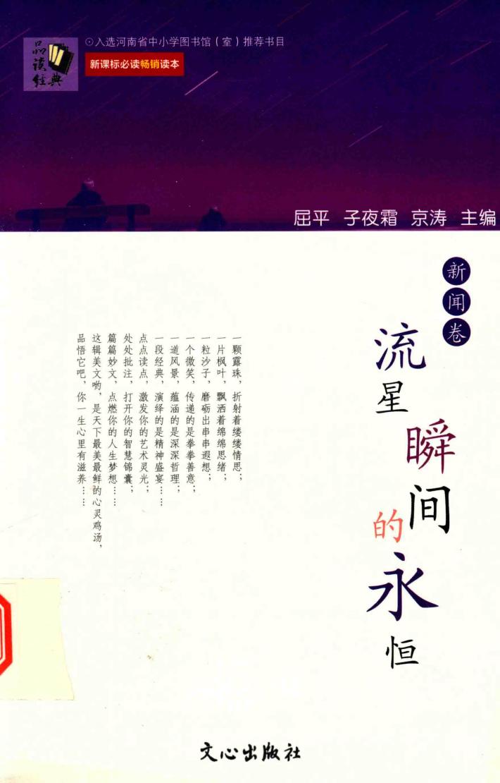 流星瞬间的永恒 封面