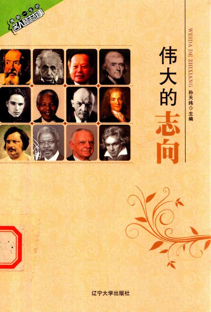 伟大的志向 封面