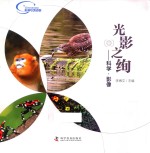光影之绚  科学·影像 封面