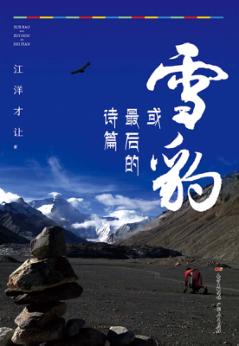 雪豹，或者最后的诗篇 封面