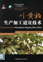 中药材生产加工适宜技术丛书  川黄柏生产加工适宜技术 封面