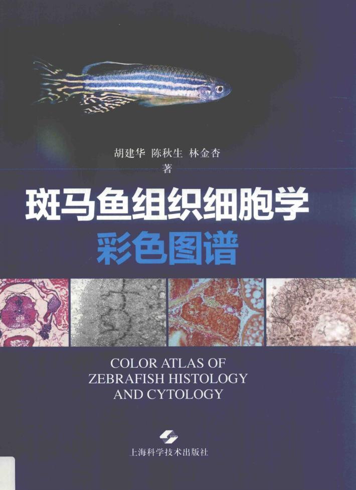 斑马鱼组织细胞学彩色图谱 封面