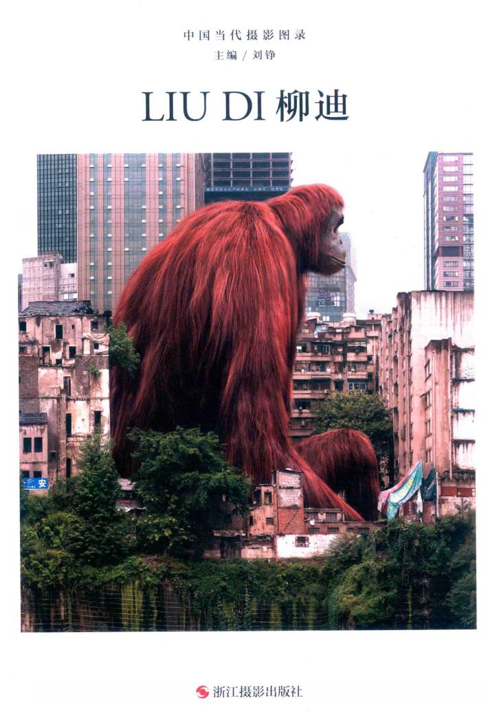 中国当代摄影图录  柳迪 封面