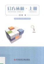 幻方丛林  上 封面