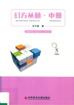 幻方丛林  中 封面