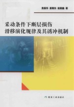 采动条件下断层损伤滑移演化规律及其诱冲机制 封面