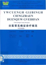 壮医常见证诊疗规范  壮汉双语 封面