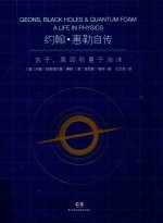 约翰  惠勒自传  京子、黑洞和量子泡沫 封面
