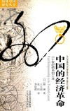 中国的经济革命  20世纪的乡村工业 封面